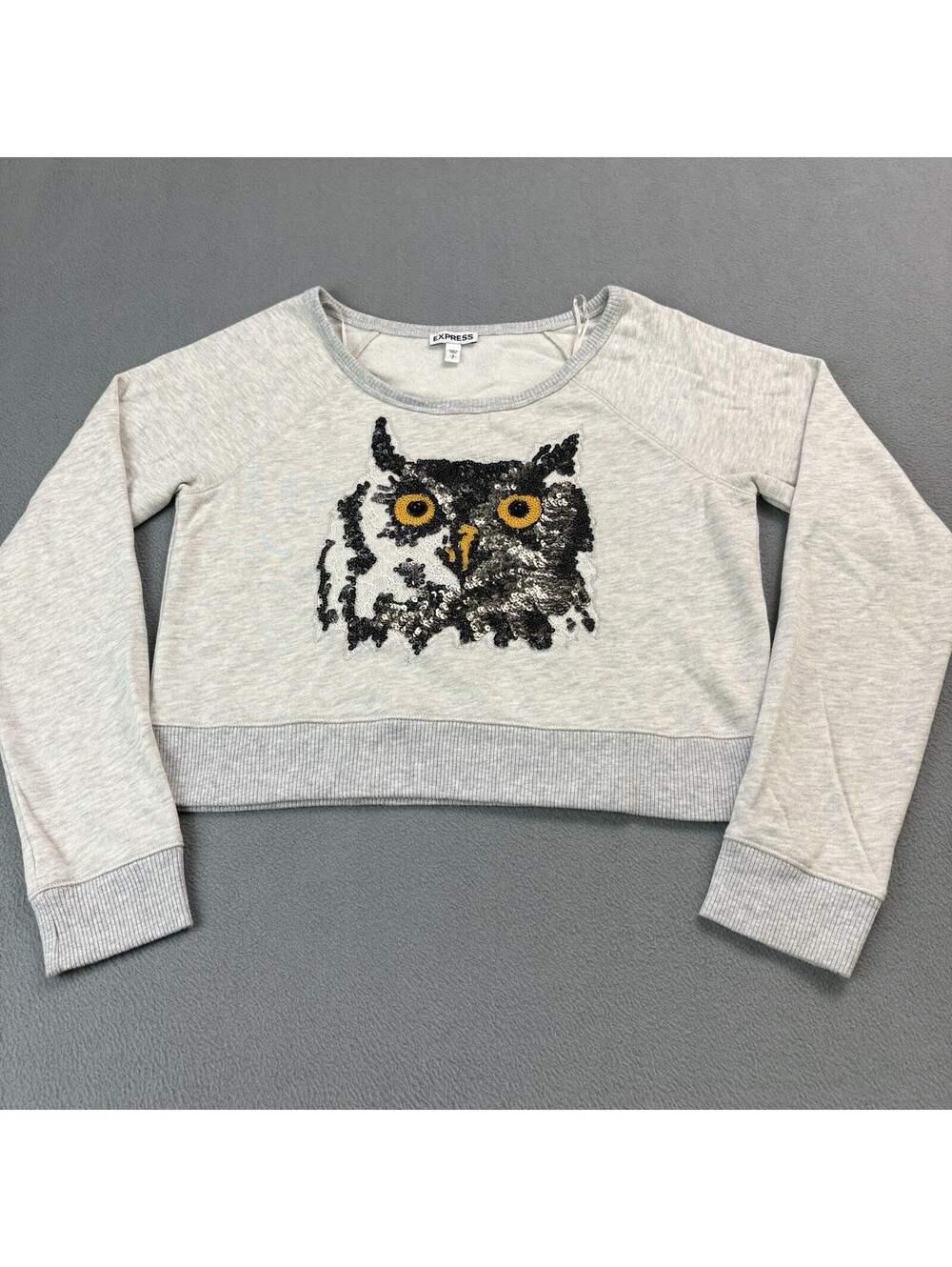 Express Sequin Owl Sweatshirt Women’s Size Small Gray
